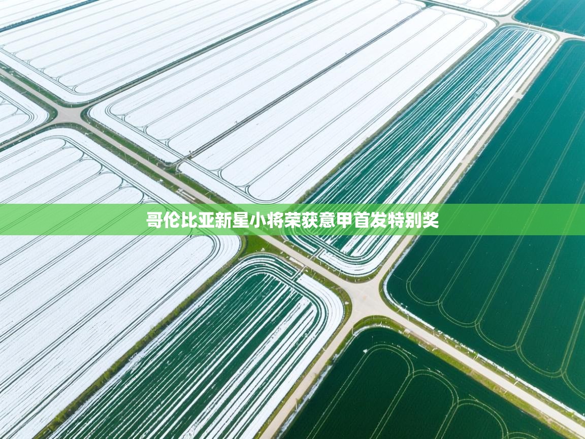 哥伦比亚新星小将荣获意甲首发特别奖  第1张