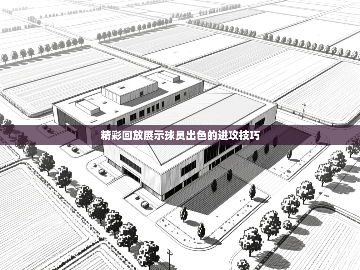 精彩回放展示球员出色的进攻技巧 第2张