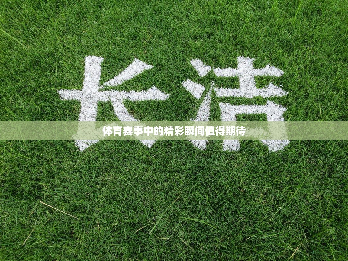 体育赛事中的精彩瞬间值得期待  第1张