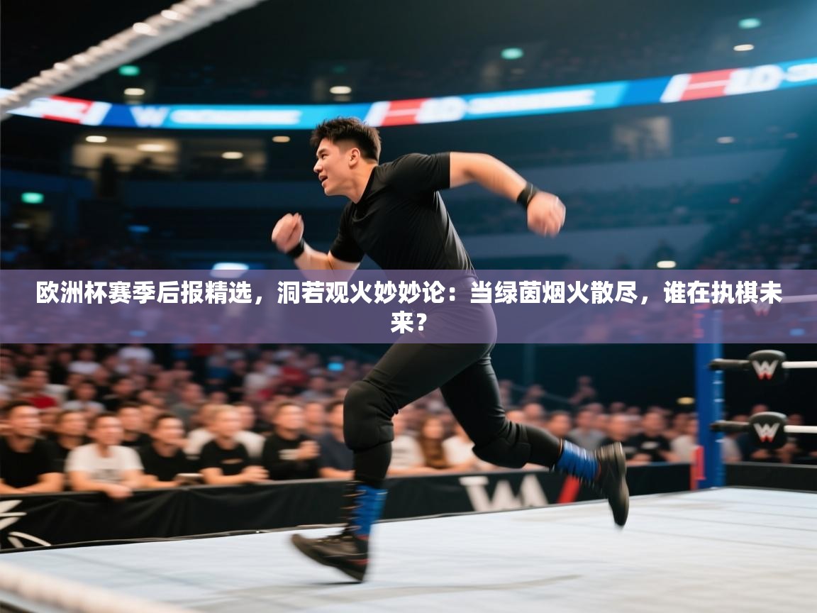 欧洲杯赛季后报精选,洞若观火妙妙论:当绿茵烟火散尽,谁在执棋未来? 第2张