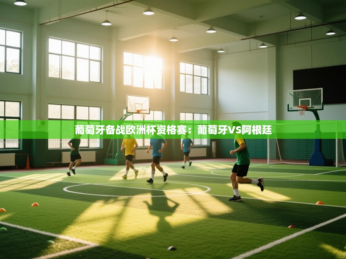 葡萄牙备战欧洲杯资格赛:葡萄牙VS阿根廷 第1张