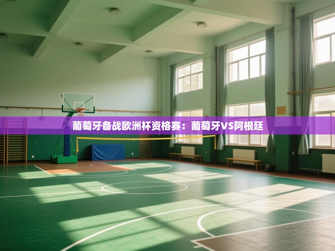 葡萄牙备战欧洲杯资格赛:葡萄牙VS阿根廷 第2张