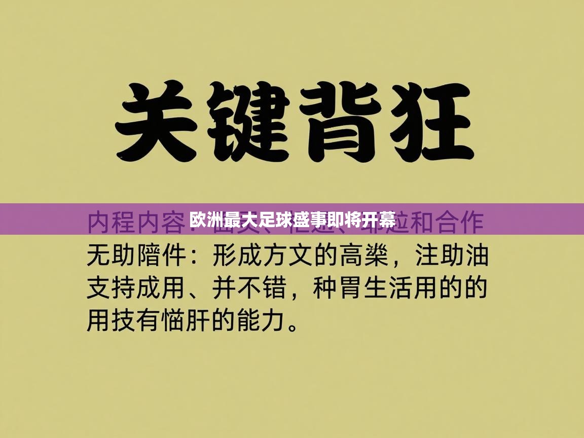 欧洲最大足球盛事即将开幕  第1张